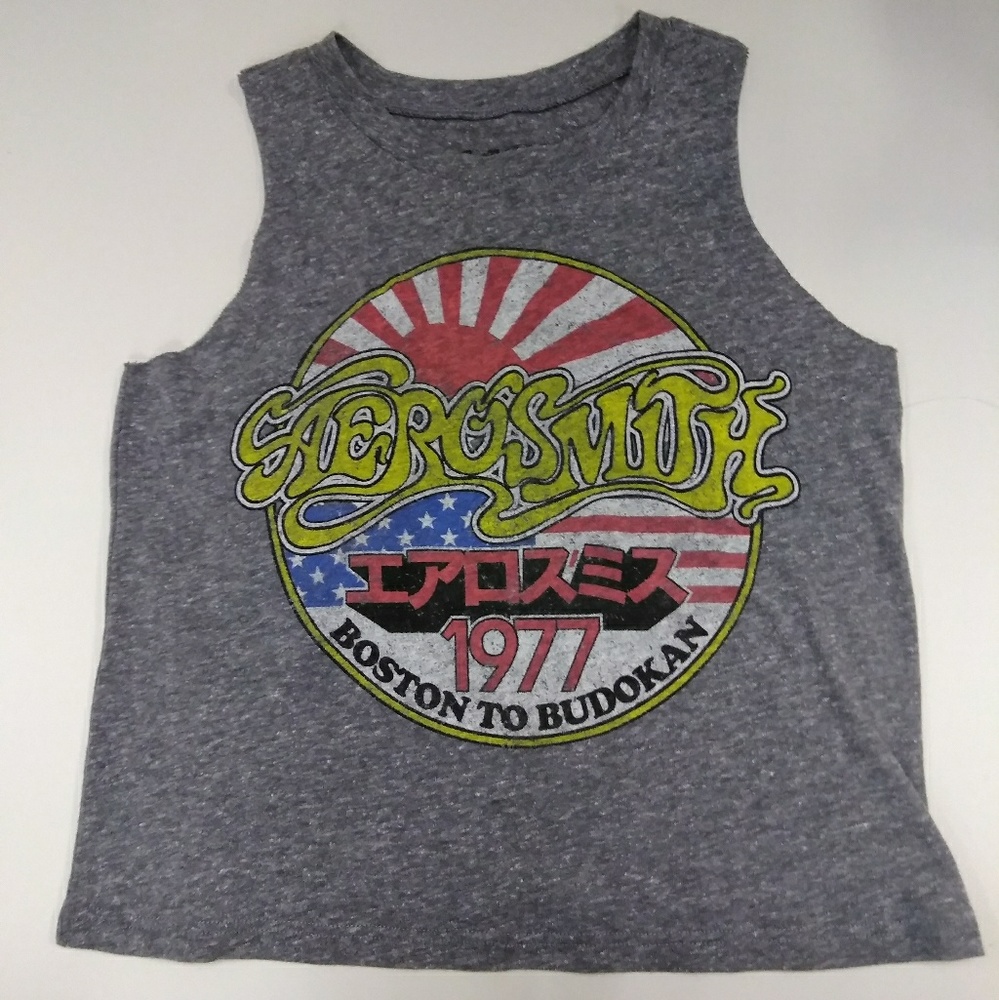Gray Aerosmith crop top